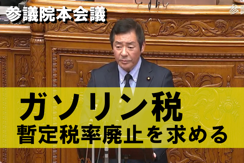 2025年3月12日 参議院本会議で質疑